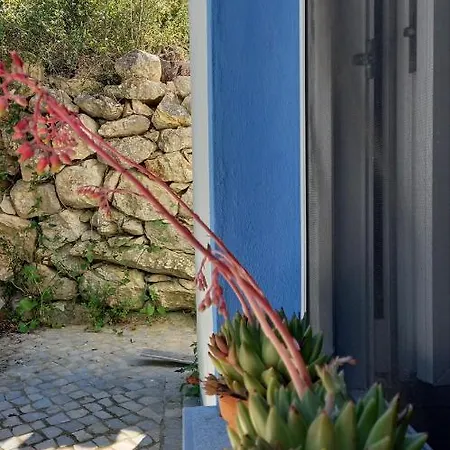Casinha Do Sul Holiday home