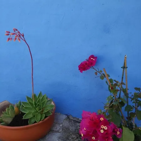 Holiday home Casinha Do Sul
